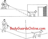 Способы использования собаки в работе телохранителя