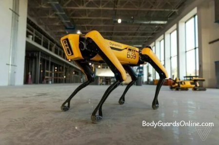 Компания Boston Dynamics - представляет своих собак Spot в деле!