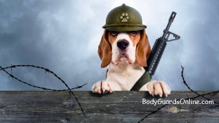 Применение собак в работе телохранителя