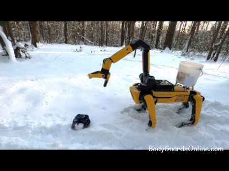 Boston Dynamics:   Spot  !()