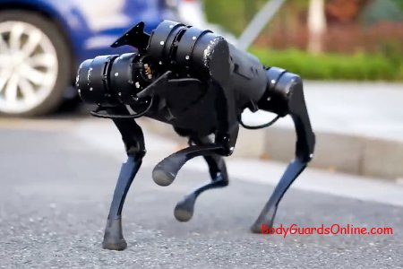 Интересные прямые конкуренты Boston Dynamics